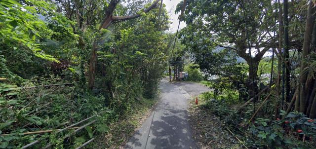 內湖法拍種菜地-3