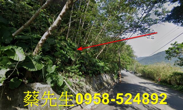新北萬里農地法拍-14