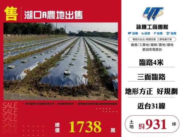 湖口農地-1