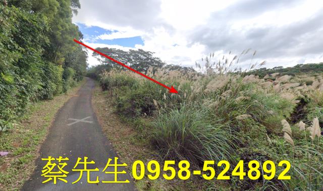 新北法拍農地-12