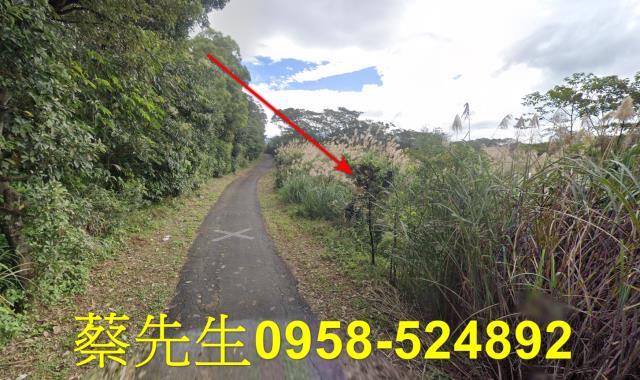 新北法拍農地-5