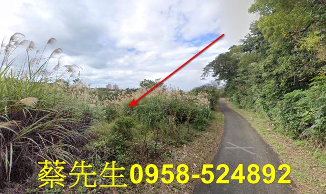 新北法拍農地-6