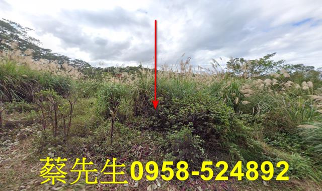 新北法拍農地-9