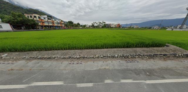 台東關山法拍農地-9