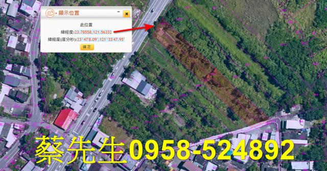 壽豐農地法拍-3