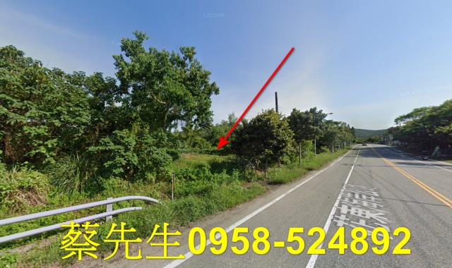 壽豐農地法拍-4