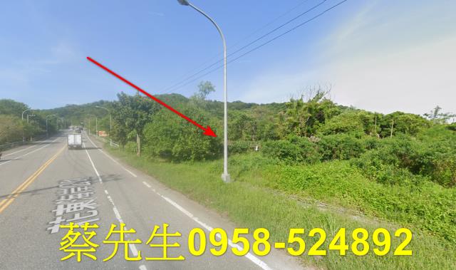 壽豐農地法拍-5
