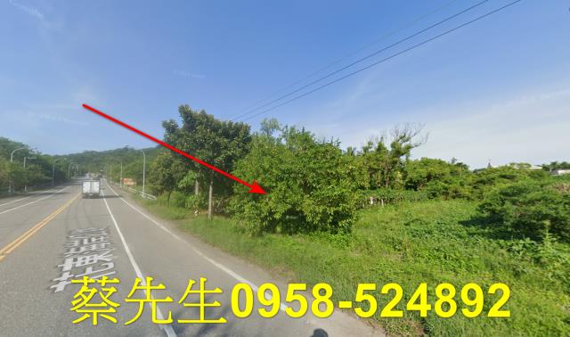 壽豐農地法拍-7