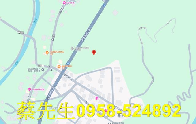 壽豐農地法拍-8
