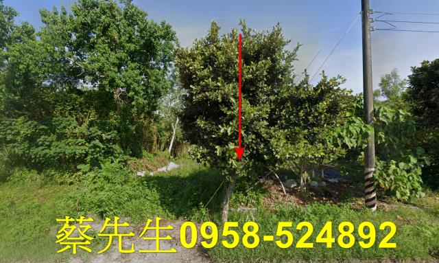 壽豐農地法拍-9