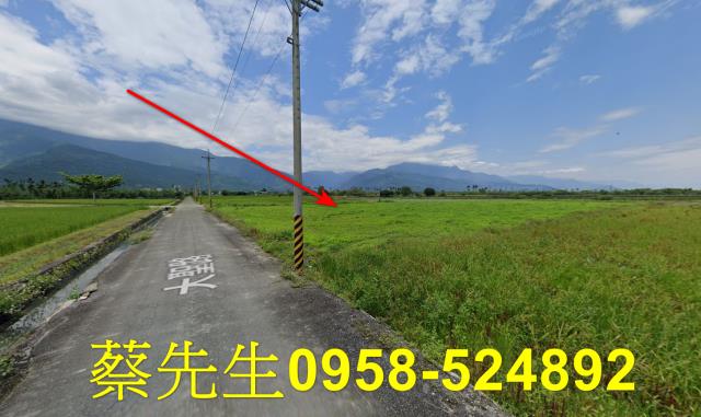 鳳林農地法拍-15