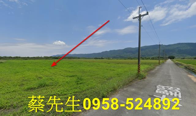 鳳林農地法拍-4