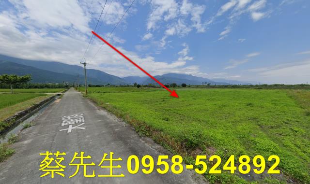 鳳林農地法拍-5