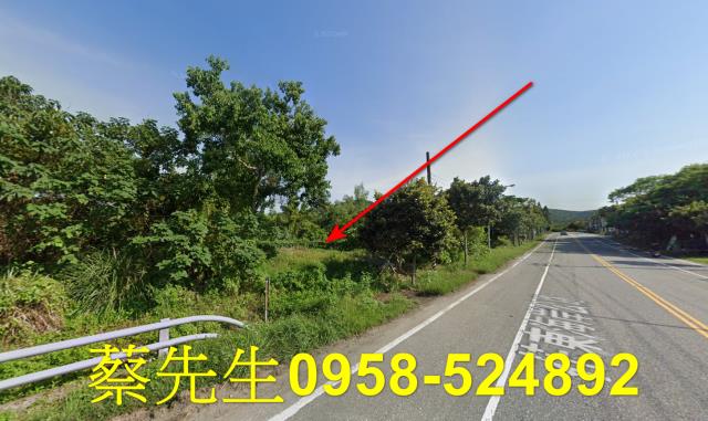 鳳林農地法拍-6
