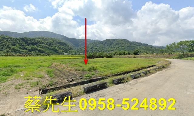 玉里拍賣農地-12