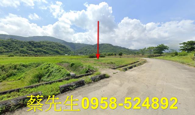 玉里拍賣農地-13