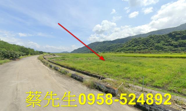 玉里拍賣農地-14