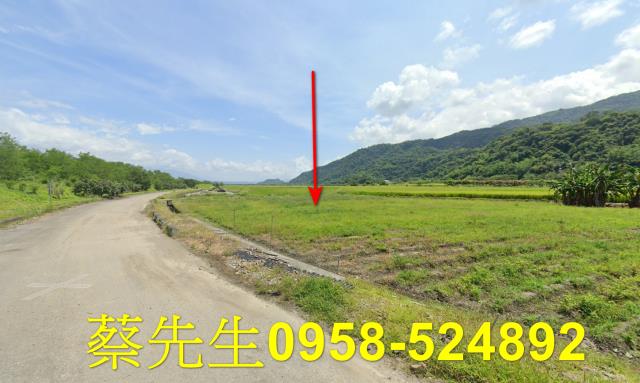 玉里拍賣農地-15