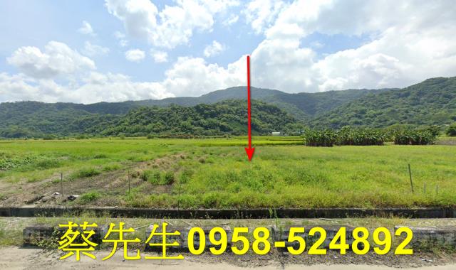 玉里拍賣農地-1