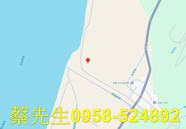 玉里拍賣農地-8