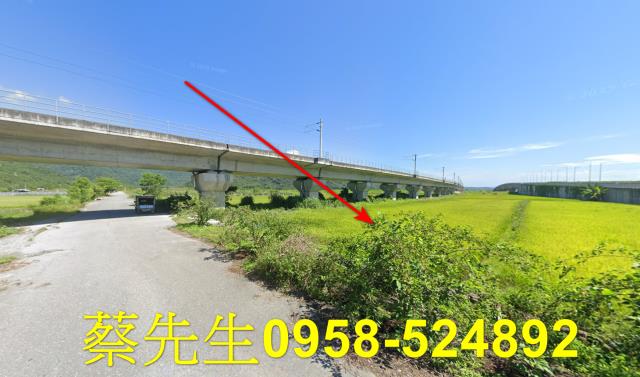 玉里法拍農地-12
