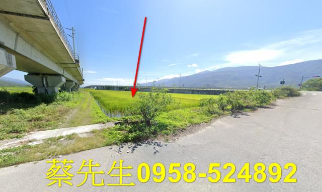 玉里法拍農地-15