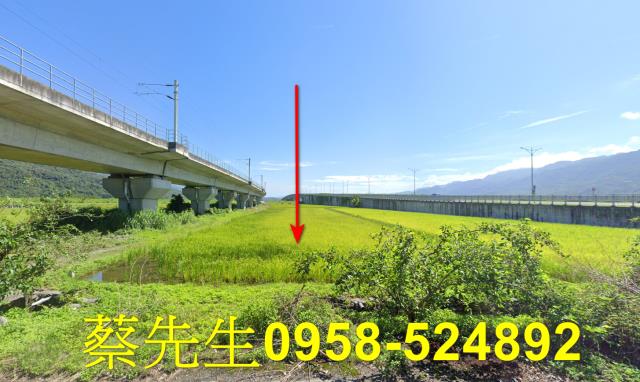 玉里法拍農地-1