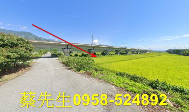玉里法拍農地-5