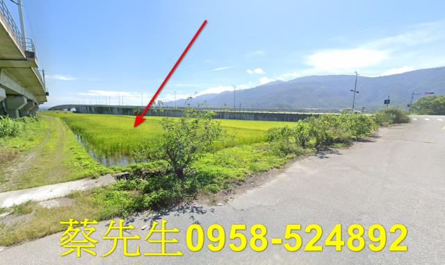 玉里法拍農地-6
