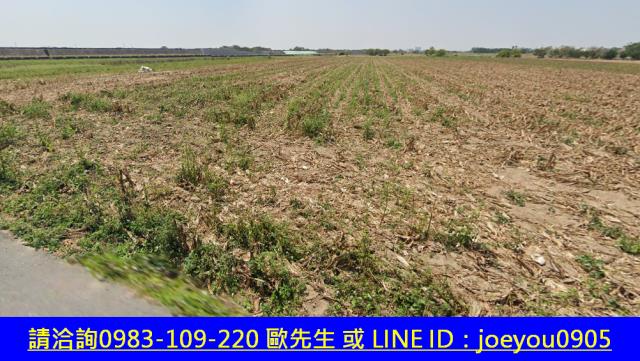 鹿草農地法拍-11