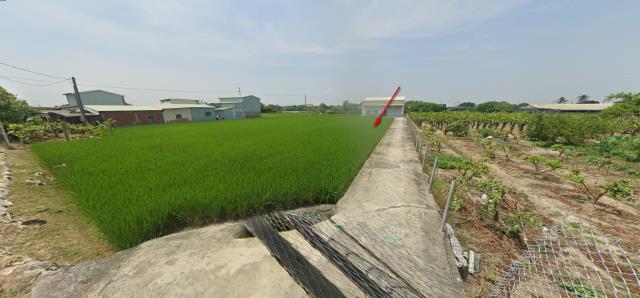 嘉義太保拍賣農地-9