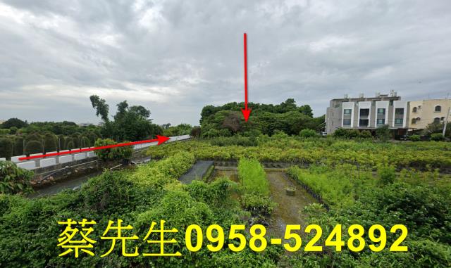 彰化法拍農地-4