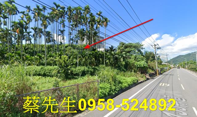 國姓法拍農地-12