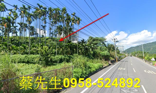 國姓法拍農地-5