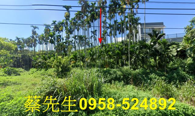 國姓法拍農地-9