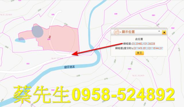 花蓮農地法拍-3