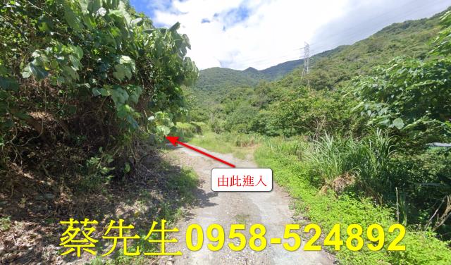 花蓮農地法拍-8