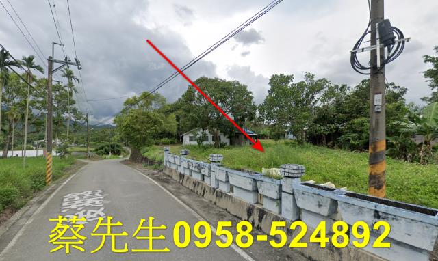 花蓮建地法拍-12