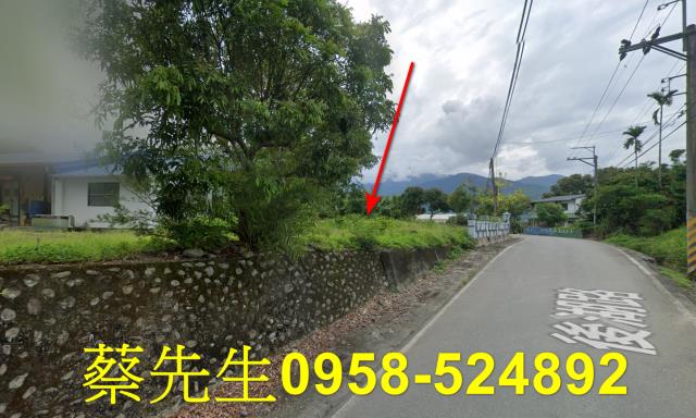 花蓮建地法拍-15