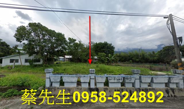 花蓮建地法拍-1