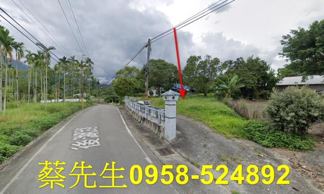 花蓮建地法拍-5