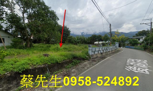 花蓮建地法拍-6