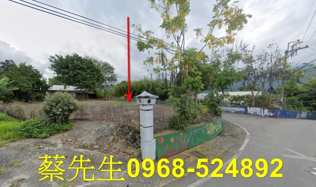 花蓮拍賣建地-12
