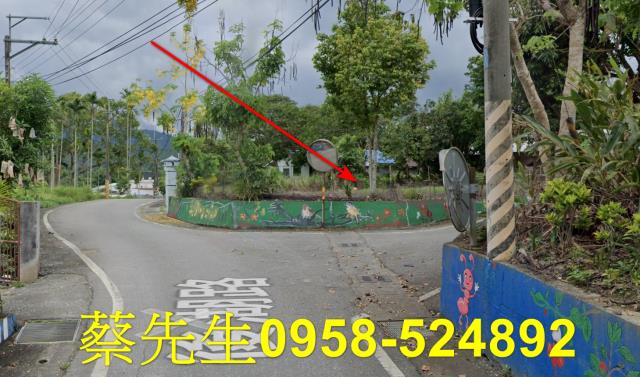 花蓮拍賣建地-15