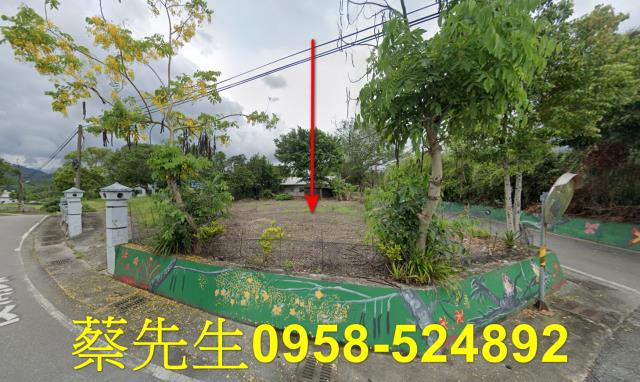 花蓮拍賣建地-1