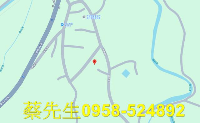 花蓮拍賣建地-8