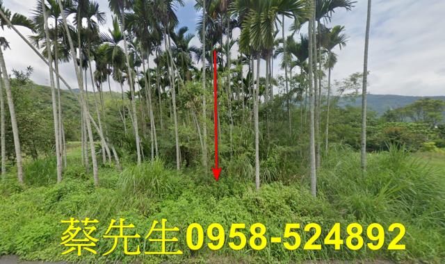 花蓮萬榮法拍農地-1