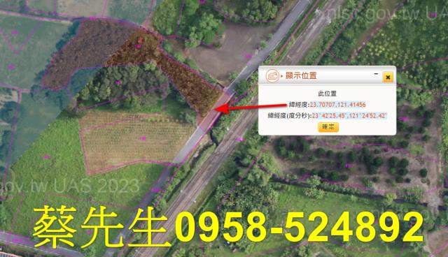 花蓮萬榮法拍農地-3