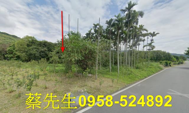 花蓮萬榮法拍農地-4