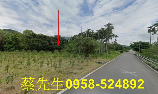花蓮萬榮法拍農地-5